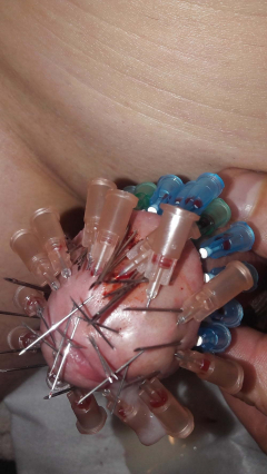 brutal pain cbt insertion bdsm extrem pervers xxl - N