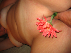 april flowers - N
