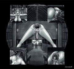 anal hole - N