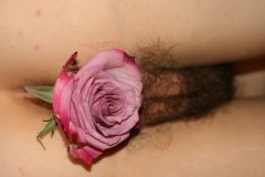 My Flower. ( Sarahporn69 ) - N