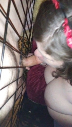 Daddy's pet slave - N