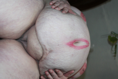 my fat wife - N
