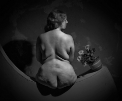 E. Berba. MODEL - N
