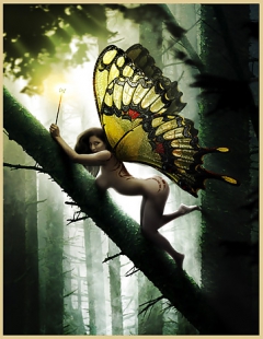 Ladies Of Fantasy - N