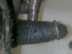 my cock bb - N
