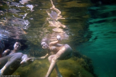 Underwater Nimph II - N