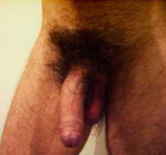 my cock - N
