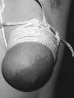  Mari bdsm album 2 - N
