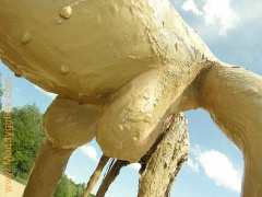 Mud And Dirty Festival - N