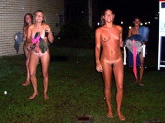 Party Zone IV - N
