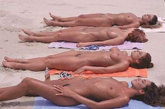 Tanned Twat 1 - N