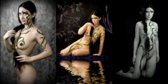 Body To Paint 9 - N