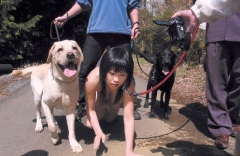 Rud's Good Pet 4 - N