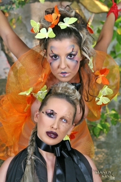 Spring Fairy is the - N
