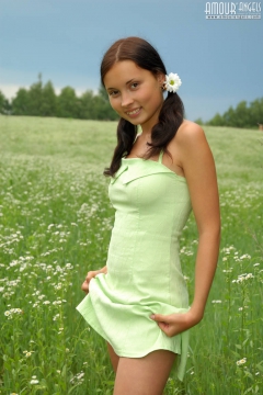 Unbelievable Angel with Chamomiles - N