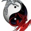reddragon2000`s avatar