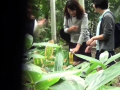 Japanese sluts urinating