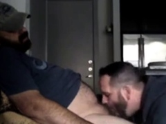 Hairy Big Daddy Bear Suck Dick