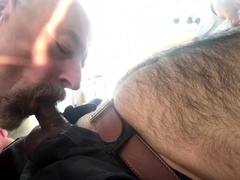 Dad sucking hairy cub